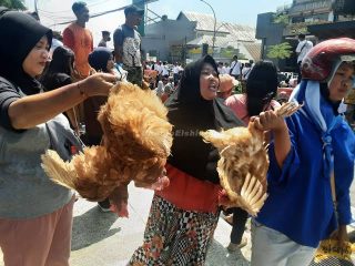 Warga Berebut Ayam Gratis di Alun-alun Magelang, Ini Alasan Peternak Gelar Aksi